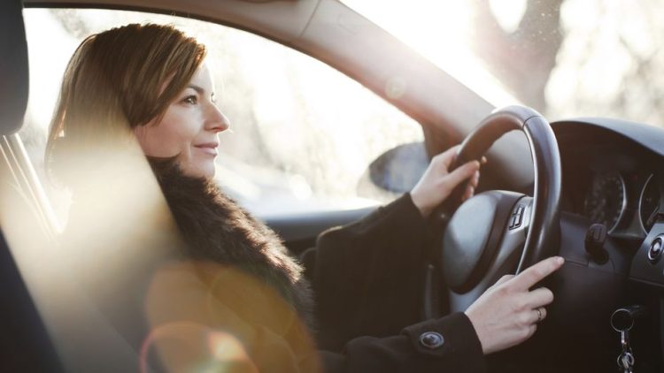 How Price and Subsidy Policies Influence Consumer Choices in the Electric Vehicle Market