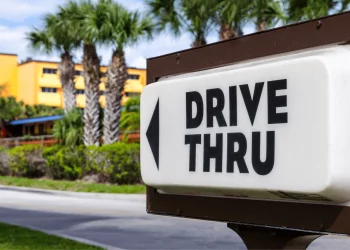 Can Electric Vehicles Truly Help Achieve Global Carbon Neutrality, or Are They Just a Transitional Phase?