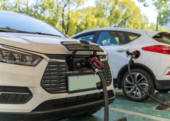 From Electric Vehicles to Clean Energy: Can Overall Environmental Sustainability Experience a Revolutionary Shift?