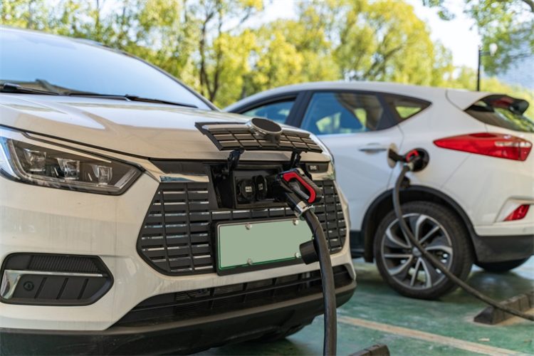 From Electric Vehicles to Clean Energy: Can Overall Environmental Sustainability Experience a Revolutionary Shift?