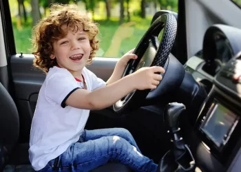 Can Policy Incentives Truly Drive Consumers Toward Electric Vehicles? Will Government Subsidies Be Sustainable?