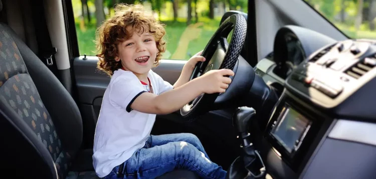 Can Policy Incentives Truly Drive Consumers Toward Electric Vehicles? Will Government Subsidies Be Sustainable?
