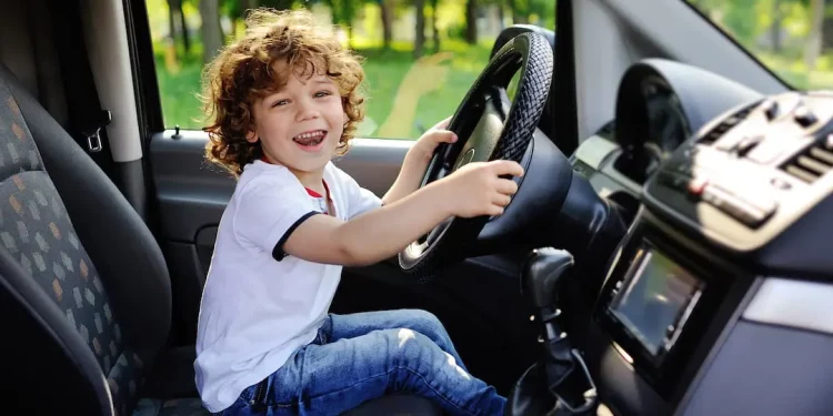 Can Policy Incentives Truly Drive Consumers Toward Electric Vehicles? Will Government Subsidies Be Sustainable?